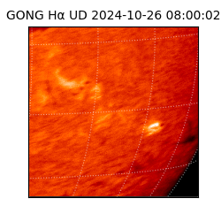 gong - 2024-10-26T08:00:02