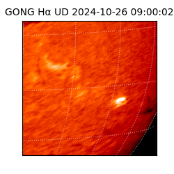 gong - 2024-10-26T09:00:02