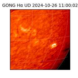 gong - 2024-10-26T11:00:02