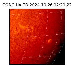 gong - 2024-10-26T12:21:22