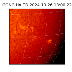 gong - 2024-10-26T13:00:22