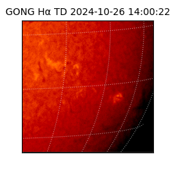 gong - 2024-10-26T14:00:22