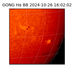 gong - 2024-10-26T16:02:02