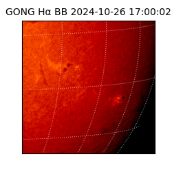 gong - 2024-10-26T17:00:02