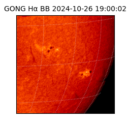 gong - 2024-10-26T19:00:02