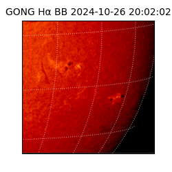 gong - 2024-10-26T20:02:02