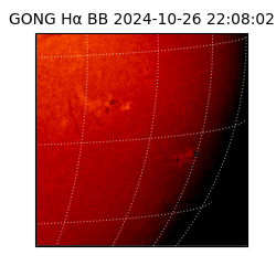 gong - 2024-10-26T22:08:02