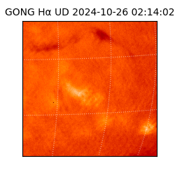 gong - 2024-10-26T02:14:02
