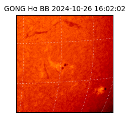 gong - 2024-10-26T16:02:02