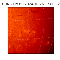 gong - 2024-10-26T17:00:02