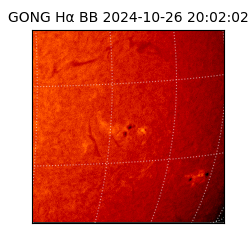 gong - 2024-10-26T20:02:02