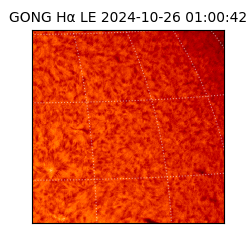 gong - 2024-10-26T01:00:42