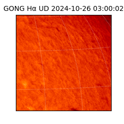 gong - 2024-10-26T03:00:02