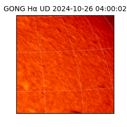 gong - 2024-10-26T04:00:02