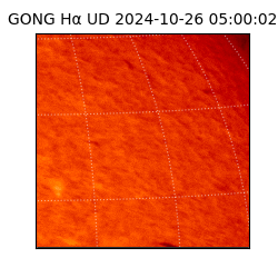 gong - 2024-10-26T05:00:02