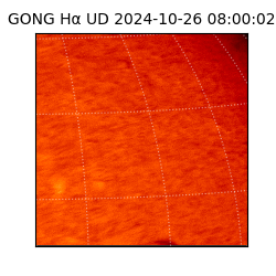 gong - 2024-10-26T08:00:02