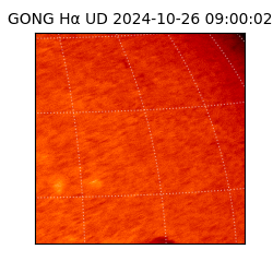 gong - 2024-10-26T09:00:02