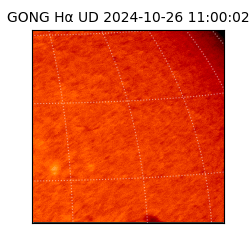 gong - 2024-10-26T11:00:02