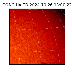 gong - 2024-10-26T13:00:22