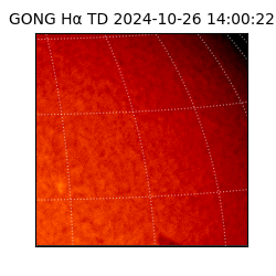 gong - 2024-10-26T14:00:22