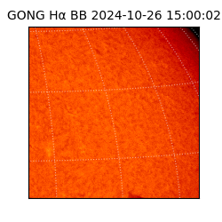 gong - 2024-10-26T15:00:02