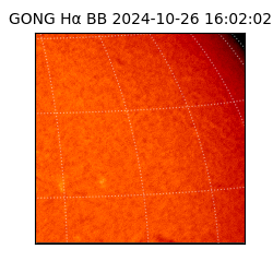 gong - 2024-10-26T16:02:02