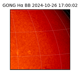 gong - 2024-10-26T17:00:02