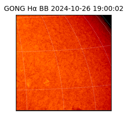 gong - 2024-10-26T19:00:02