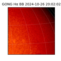 gong - 2024-10-26T20:02:02