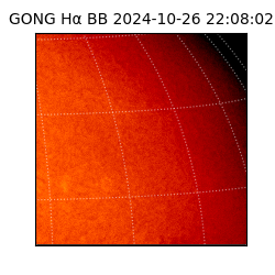 gong - 2024-10-26T22:08:02