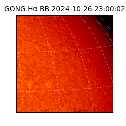 gong - 2024-10-26T23:00:02