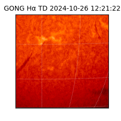 gong - 2024-10-26T12:21:22