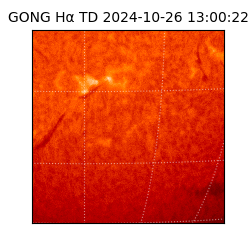 gong - 2024-10-26T13:00:22