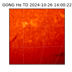 gong - 2024-10-26T14:00:22