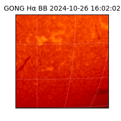 gong - 2024-10-26T16:02:02