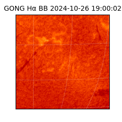 gong - 2024-10-26T19:00:02