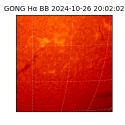 gong - 2024-10-26T20:02:02