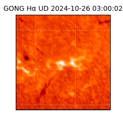 gong - 2024-10-26T03:00:02