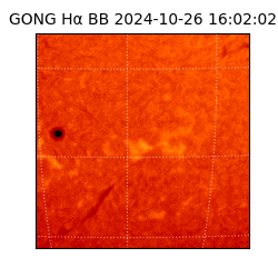 gong - 2024-10-26T16:02:02