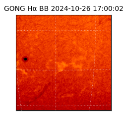 gong - 2024-10-26T17:00:02