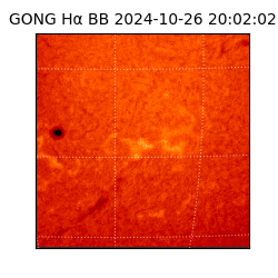 gong - 2024-10-26T20:02:02