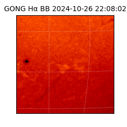 gong - 2024-10-26T22:08:02