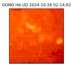 gong - 2024-10-26T02:14:02