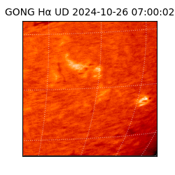 gong - 2024-10-26T07:00:02