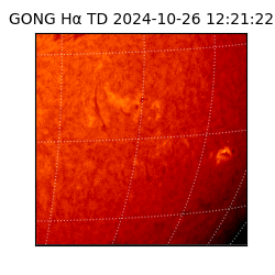 gong - 2024-10-26T12:21:22