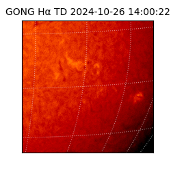 gong - 2024-10-26T14:00:22