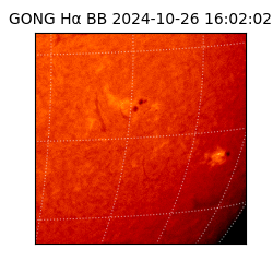 gong - 2024-10-26T16:02:02