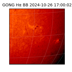 gong - 2024-10-26T17:00:02