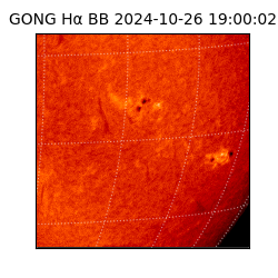 gong - 2024-10-26T19:00:02