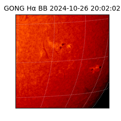 gong - 2024-10-26T20:02:02